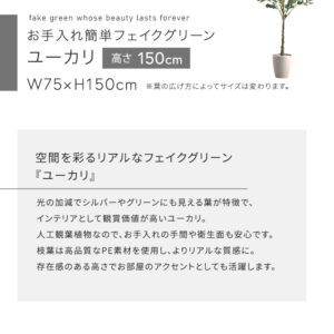 お手入れ簡単フェイクグリーン　ユーカリ　Mサイズ(150cm)