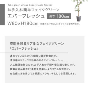 お手入れ簡単フェイクグリーン エバーフレッシュ Lサイズ(180cm)