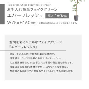 お手入れ簡単フェイクグリーン エバーフレッシュ Mサイズ(160cm)
