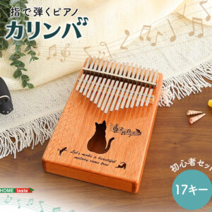 指で弾くピアノ カリンバ初心者セット 絵柄付きタイプ