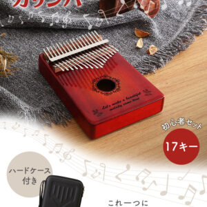 指で弾くピアノ カリンバ初心者セット　絵柄付きタイプ　ハードケースつき