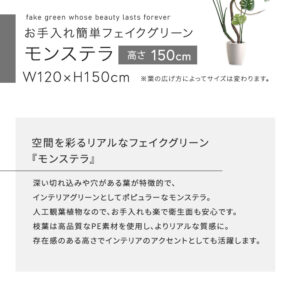 お手入れ簡単フェイクグリーン　モンステラ　Mサイズ(150cm)
