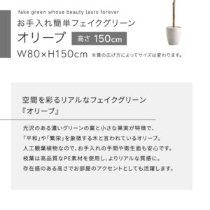 お手入れ簡単フェイクグリーン オリーブ Mサイズ(150cm)