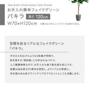 お手入れ簡単フェイクグリーン　パキラ　Sサイズ(120cm)