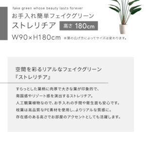 お手入れ簡単フェイクグリーン ストレリチア Lサイズ(180cm)