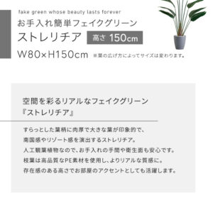 お手入れ簡単フェイクグリーン　ストレリチア　Mサイズ(150cm)