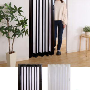 採光性バツグン!ガラス調のパネルドア -RAYLA(レイラ)-