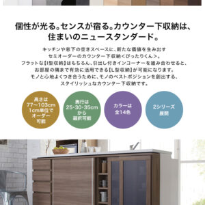 【引戸シリーズ】セミオーダーカウンター下収納ぴったりくん キャビネット(ポリカタイプ ミスト) 幅160cm×奥行35cm