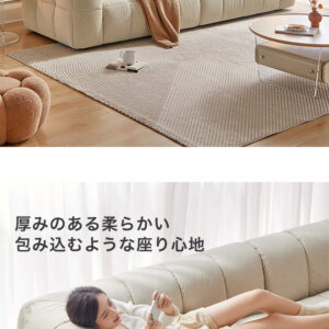 滑らかテクスチャー左右2人掛けカウチソファ