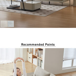 コットンリネンカバー付き左右2人掛けソファ