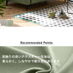 スチールS字スプリング構造ソファ 2人掛け