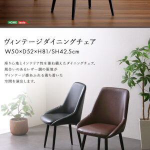 ヴィンテージダイニングチェア【Valentin -バレンティン-】
